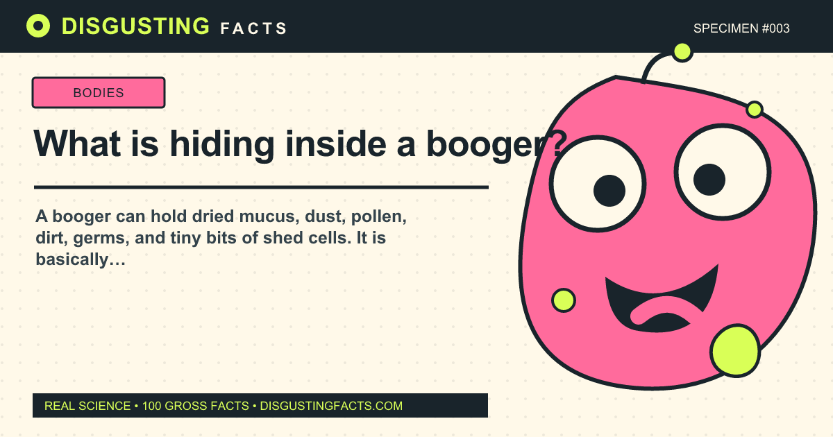 ما الذي يختبئ داخل booger؟