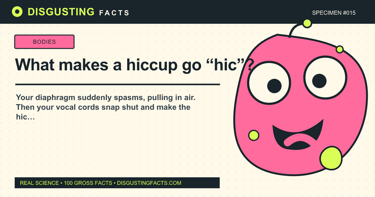 ما الذي يجعل الفواق يتحول إلى "hic"؟