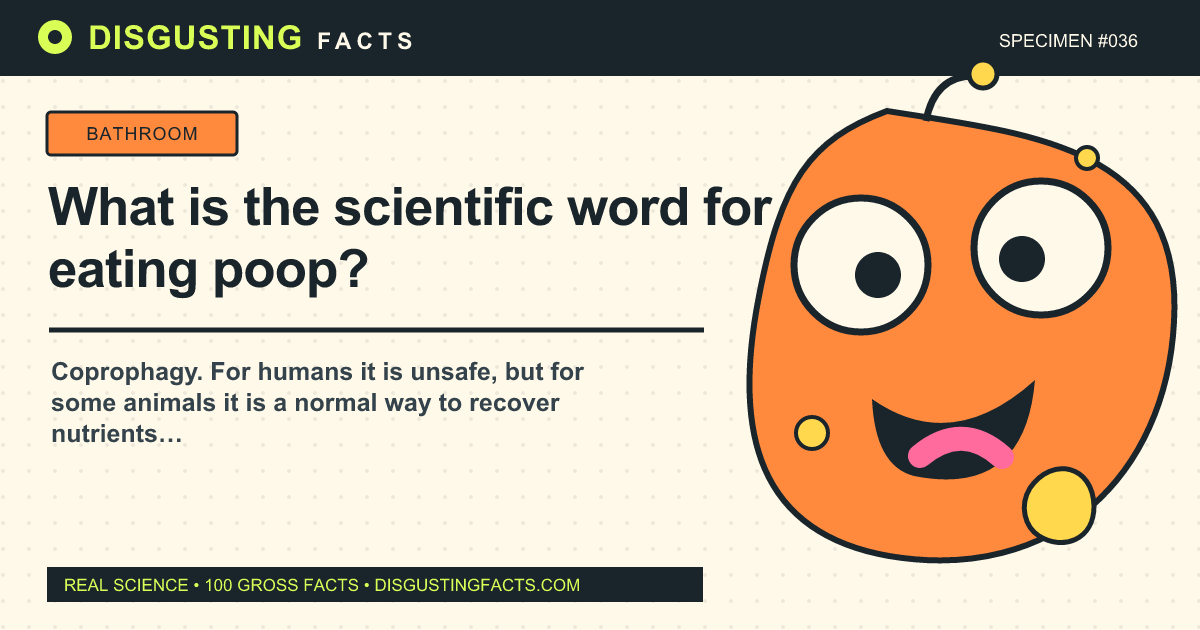 ¿Cuál es la palabra científica para comer caca?