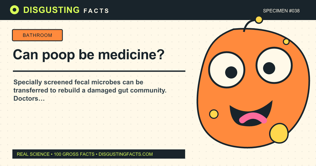 Can poop be medicine?