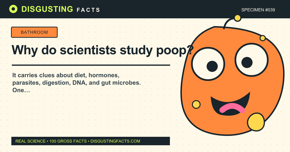 Why do scientists study poop?