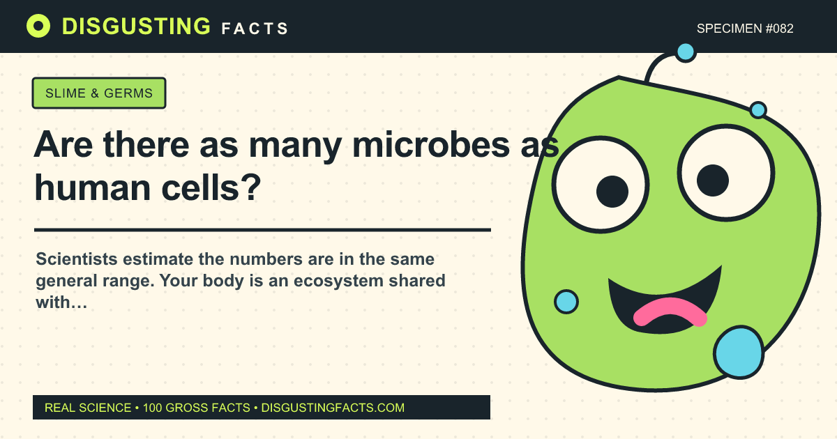 ¿Hay tantos microbios como células humanas?
