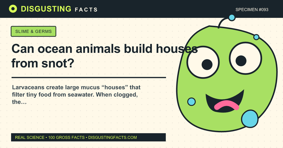 Can ocean animals build houses from snot?