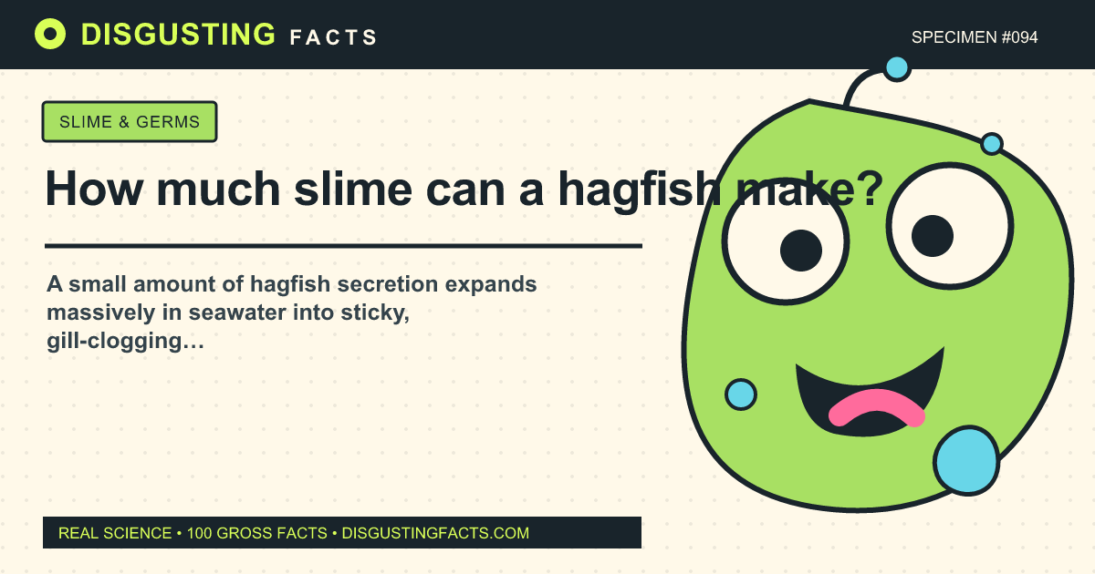 How much slime can a hagfish make?