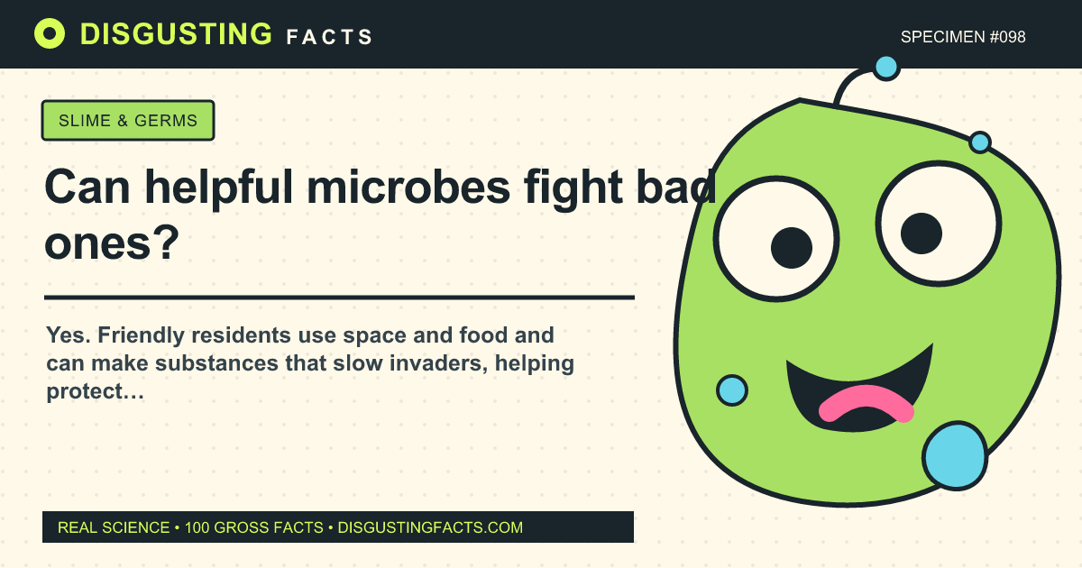 Can helpful microbes fight bad ones?