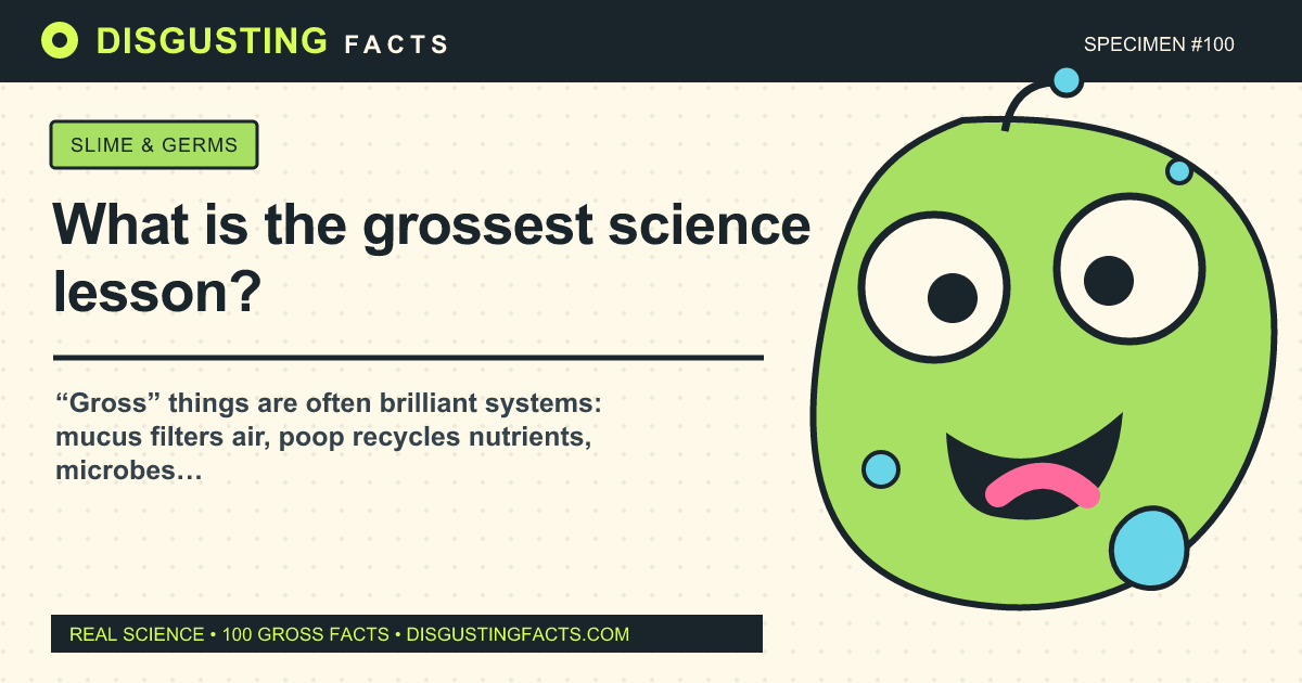 Quelle est la leçon de science la plus grossière ?